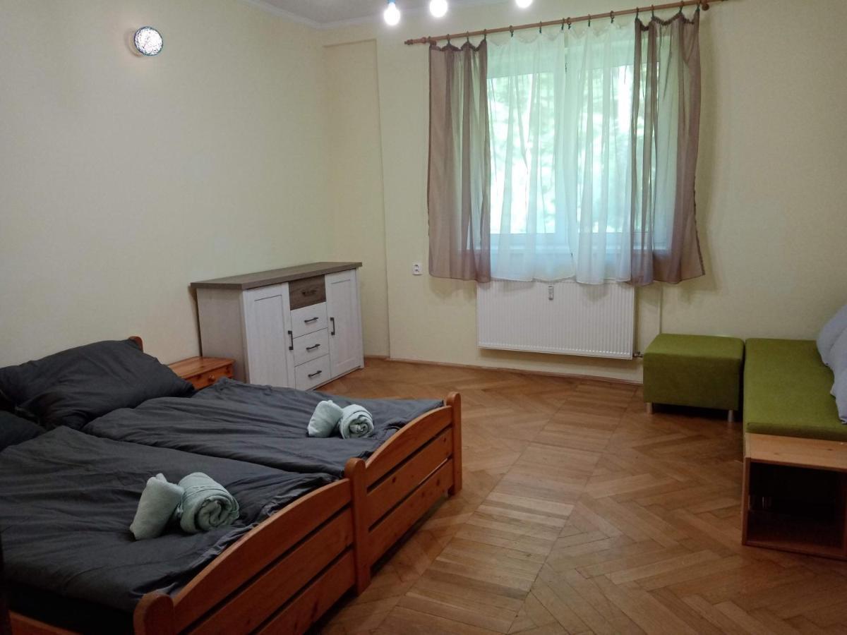 Apartmán XXL Jáchymov Esterno foto